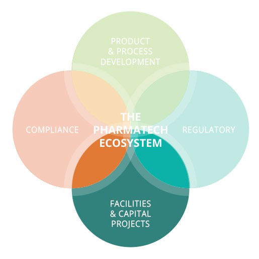 Facilities & Capital Projects 