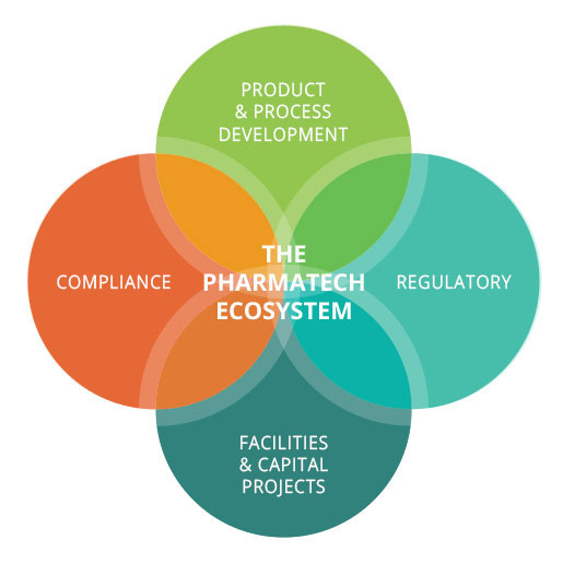 Value in Our Process 